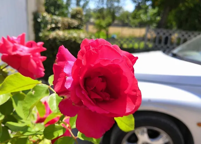 Casa Vacanze A Due Passi Da Loreto, Ed Il Mare Castelfidardo