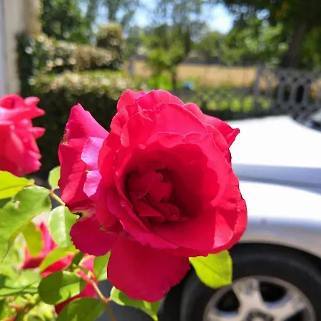 Casa Vacanze A Due Passi Da Loreto, Ed Il Mare Castelfidardo